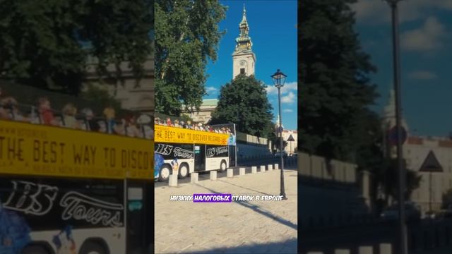 ВНЖ Сербии 79154407070