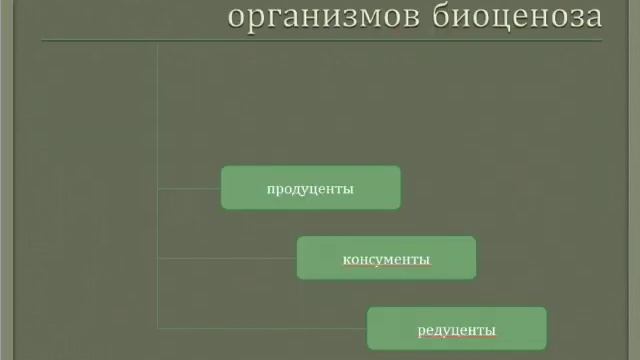 сш №12, урок биологии в 9 классе, учитель Носикова О.А смотреть онлайн
