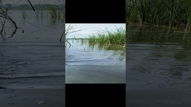 Обычное Утро Вакахи смотреть онлайн
