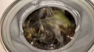 Bosch Maxx 7 VarioPerfect | Easy Care 40° + PreWash and Rinse plus | Carpet Wash