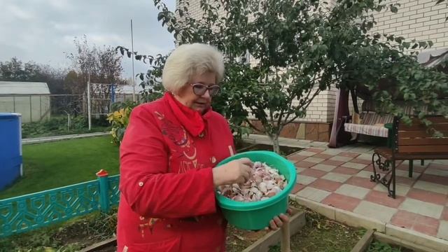 Чеснок для здоровья просто необходим ! смотреть онлайн
