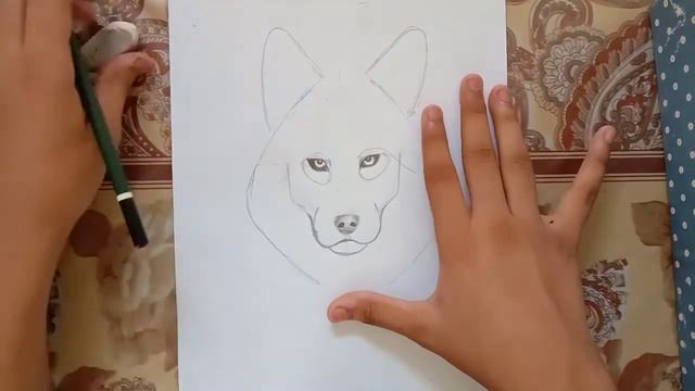 How to draw a Husky (Siberian husky) How to draw a dog - dog drawing смотреть онлайн