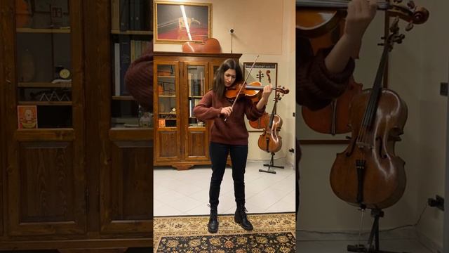 Daniele Tonarelli Master Violinmaker-violin 2020 Strad Model Sound Sample.