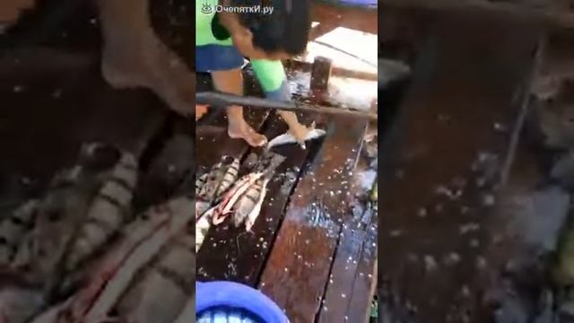 Быстрый способ почистить рыбу смотреть онлайн