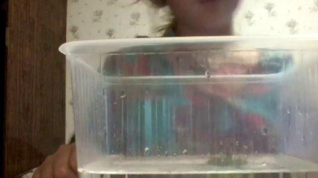 Мне купили красноухую черепашку я так рада Васе