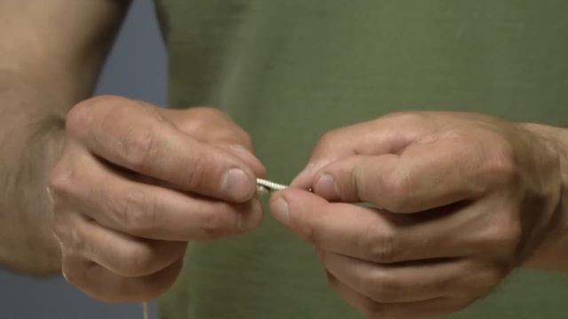 Рыба в Мире