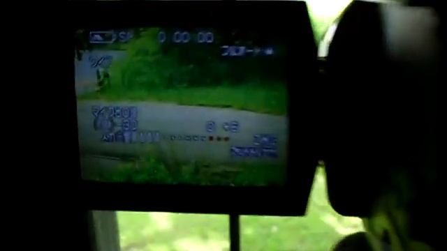 MX5000 Panasonic 3 chip camcorder смотреть онлайн
