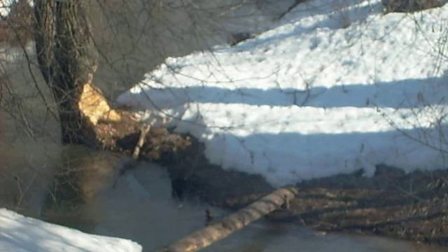 Норка смотреть онлайн