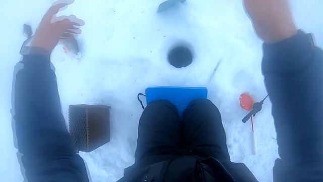 ПОПАЛИ НА ЩУЧИЙ ЖОР, УСТАЛ БЕГАТЬ ПО ЖЕРЛИЦАМ - СЕРГЕЕВСКОЕ ВОДОХРАНИЛИЩЕ смотреть онлайн
