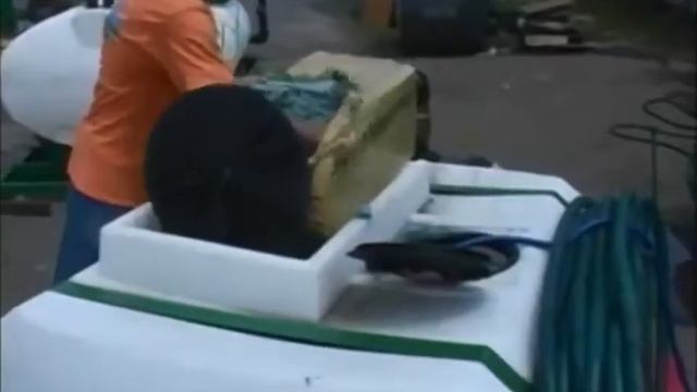 TURBO TURF - Сажаем газон легко