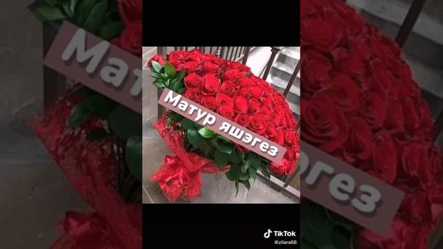 туганнарыма кайнар сэлэм???♂️?♂️?♂️ смотреть онлайн