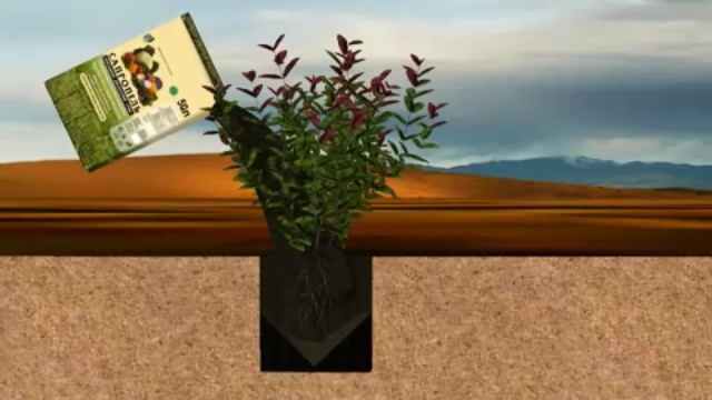 Капсульный почвообразователь Производство и применение смотреть онлайн