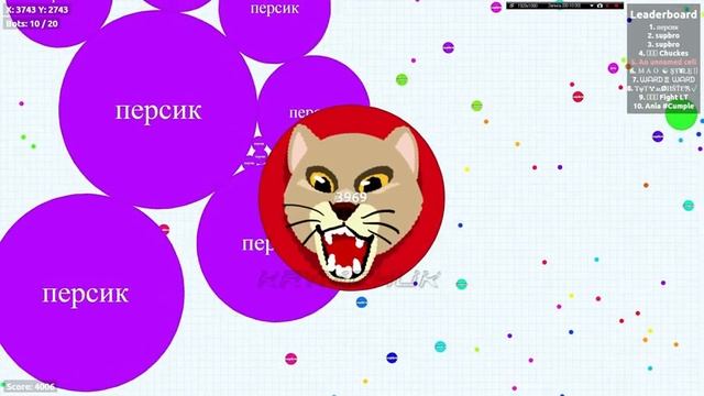Agar.io - Злая Пума