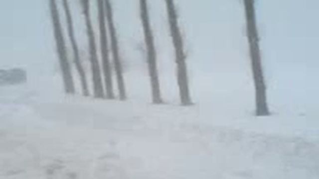 15 марта Разъезд Могилёв-Горки-Шклов смотреть онлайн