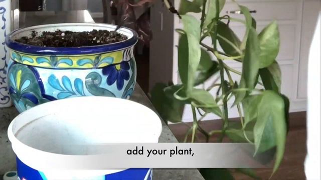 How to Turn Anything Into a Planter in 5 Minutes смотреть онлайн