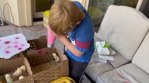 Красим живых цыплят на Пасху.  Пасхальные цыплята. Paint live baby chickens for Easter