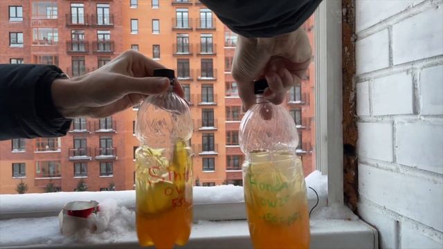 Тест моторного масла 0W-20 на текучесть в -35˚С Sintec vs Honda. Замерзнет или нет? смотреть онлайн