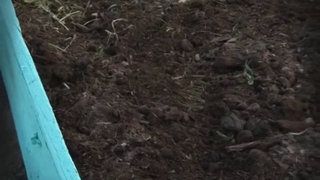 Во саду ли, в огороде 07.10.16 смотреть онлайн