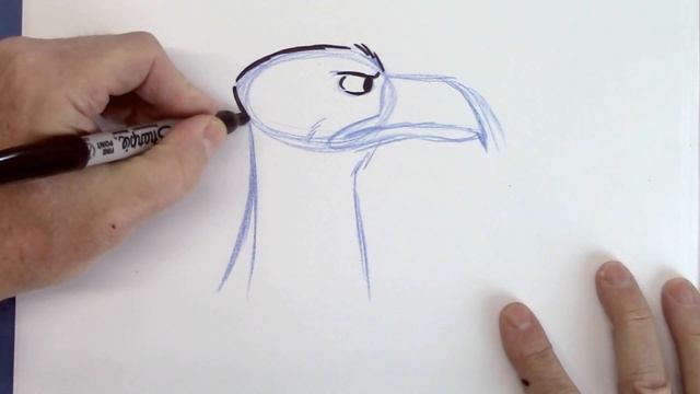 How To Draw A Cartoon Eagle - Beginner Lesson смотреть онлайн