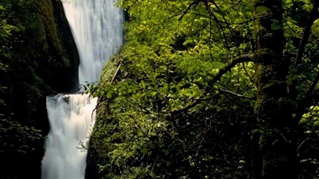 LG DVD Karaoke BGV (Part 3) (2007) смотреть онлайн