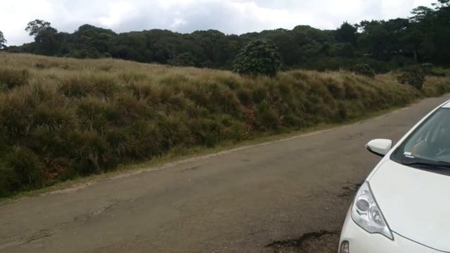 Horton Plains By Sutharson