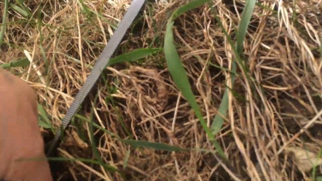 Кемпинговая палатка Trek Planet Omaha Twin 4