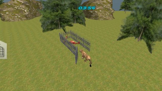 cara menangkap singa | zoo animals смотреть онлайн