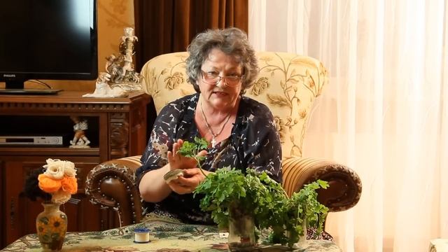 Как вылечить бородавку на ноге в домашних условиях смотреть онлайн