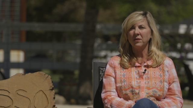 THE AMAZING LOUISIANA CATAHOULA LEOPARD DOG