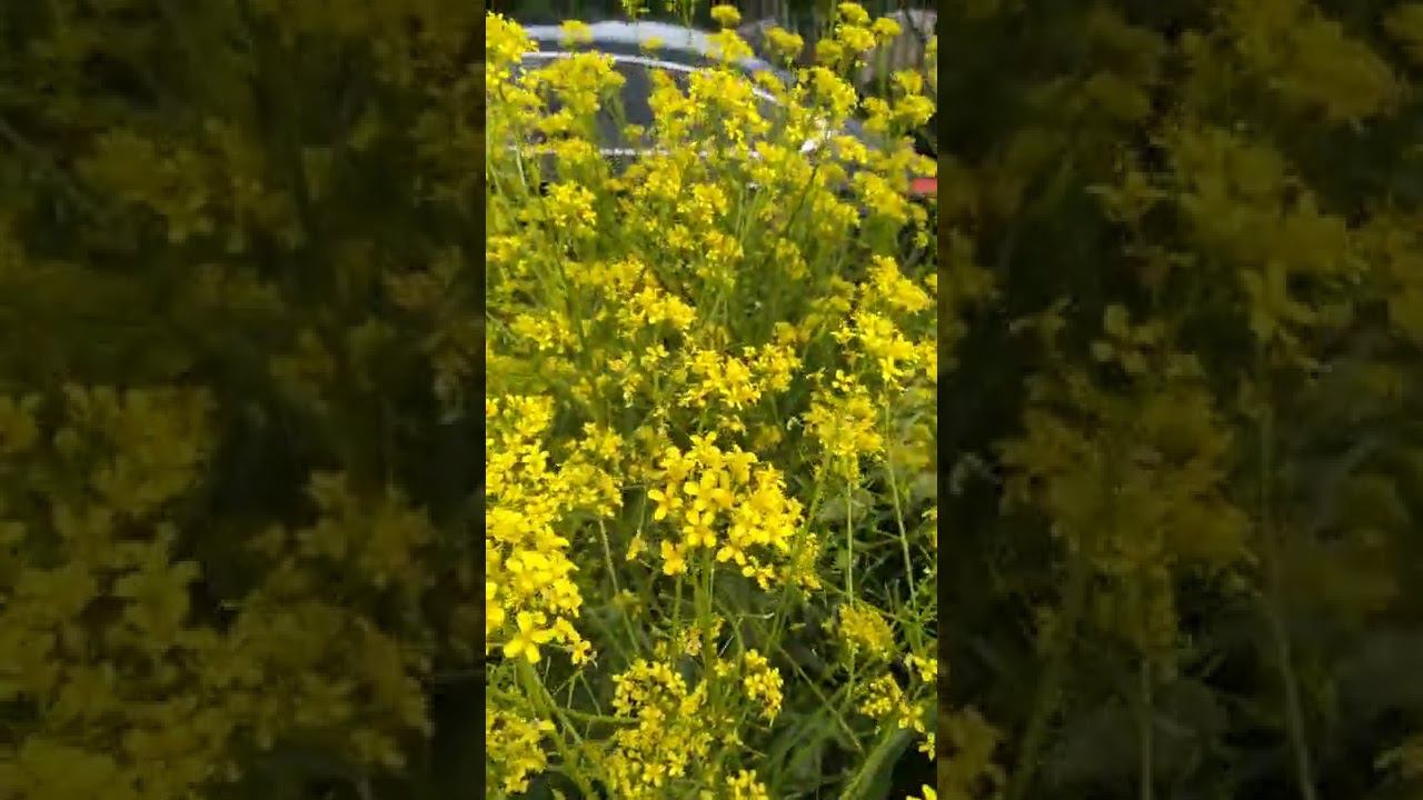 19 июня 2022 г. смотреть онлайн