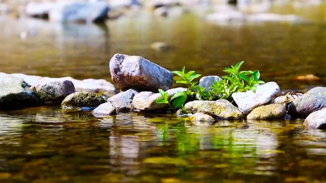 Relaxing Music Online - Soothing Piano V смотреть онлайн