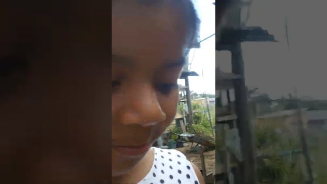 Mostrando minha casa; com minha amiga zebina 😆😆😆😆😆😆 смотреть онлайн