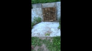 МЕТАТЕЛЬ TИK TOK ! Метание кепки и многое другое !