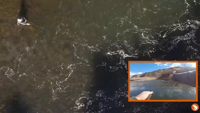 How To Euro Nymph // READING WATER - Euro Nymphing With Russell Miller