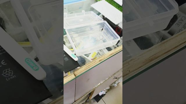 iPhone 6 Plus Camera Blur Solution | iPhone 6S Plus All Camera Solution 💯% смотреть онлайн