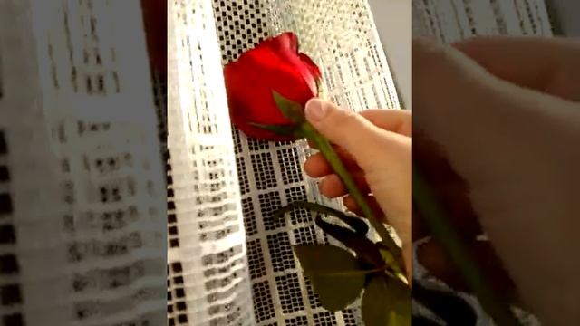 Живые "искусственные"цветы на 8марта! смотреть онлайн
