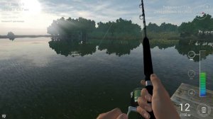 СНУК ОБЫКНОВЕННЫЙ Эверглэйдс FishingPlanet 2017