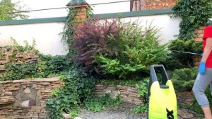 Барбарис : уход, лечение, осенняя подкормка.