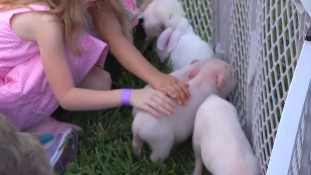 Влог: Настя и друзья собирают сюрпризы. смотреть онлайн