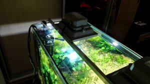 Освещение 100 литрового аквариума своими руками, прожекторы