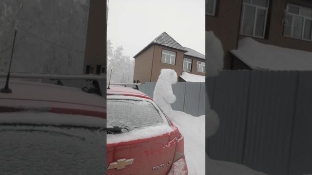 Белый Мишка и 101 роза! (прощаемся) смотреть онлайн