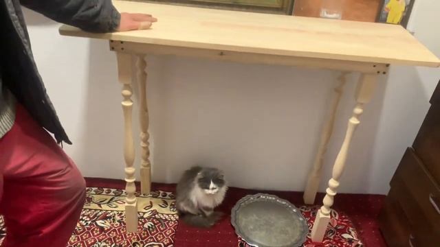 Андрей принёс стол спешу и вам показать ❣❣ смотреть онлайн