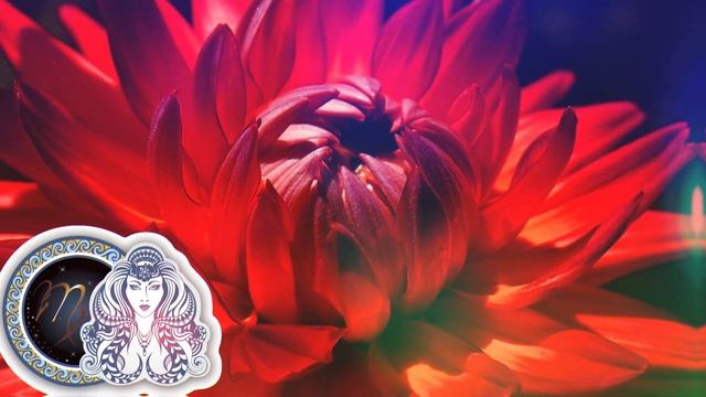 Horoskopi Javor 6 - 12 Nentor 2023 Per Te Gjitha Shenjat смотреть онлайн