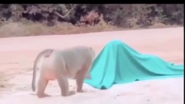 Не пугай так блин смотреть онлайн