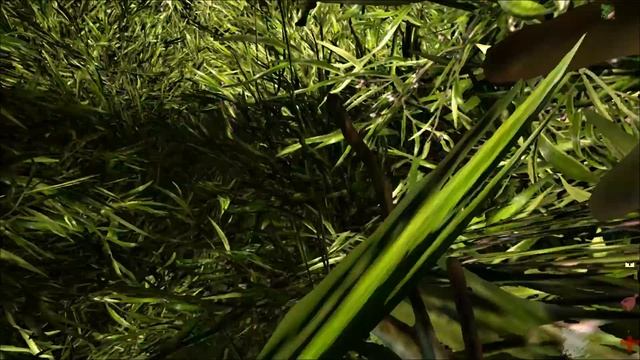 МЕГА КРУТОЙ ТИРАННОЗАВР, ДИНО МОД | Ark Survival Play As Dino смотреть онлайн