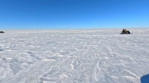 Охота на волка в Казахстане