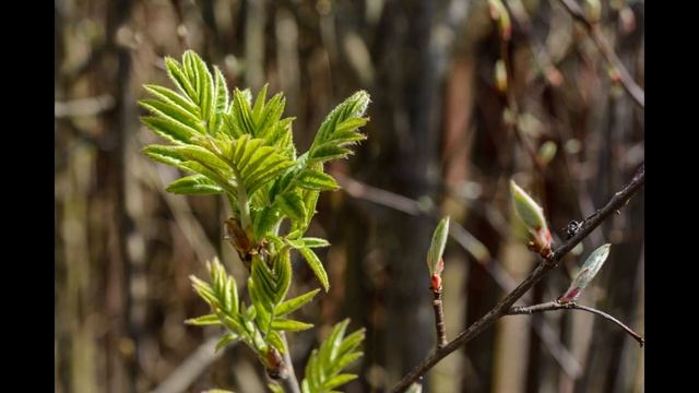 28 апреля Пудов день. Что нельзя делать сегодня, чтобы не накликать на себя несчастье!!! Приметы. смотреть онлайн