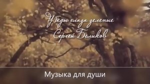 Беликов - У беды глаза зелёные не простят, ни пощадят (remix)