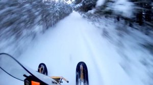 Динго Т150(450)-и он всё-таки едет лучше