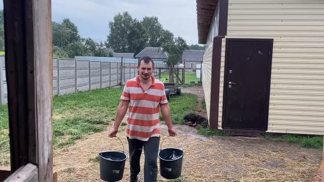 НЕОЖИДАННАЯ НОВОСТЬ! У НАС ПОПОЛНЕНИЕ! ЧТО ДЕЛАТЬ ДАЛЬШЕ? НАША ФЕРМА! ЖИЗНЬ ПРОСТЫХ ЛЮДЕЙ В ДЕРЕВНЕ смотреть онлайн